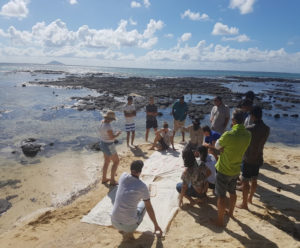 Entre terre et mer : sur les traces de Paul et Virginie